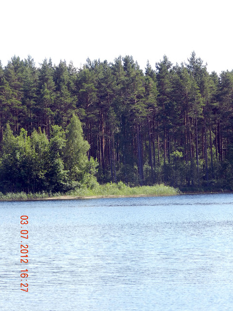 Шепелевское озеро