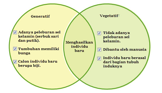 Perkembangbiakan Vegetatif  dan  Generatif  Tumbuhan Mikirbae