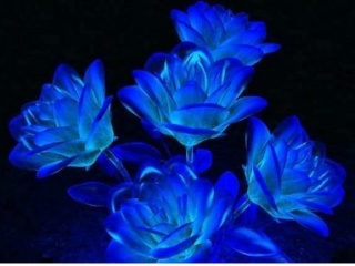 Lava B5 Mobile Wallpapers Free Blue Wallpapers For Free Downloading