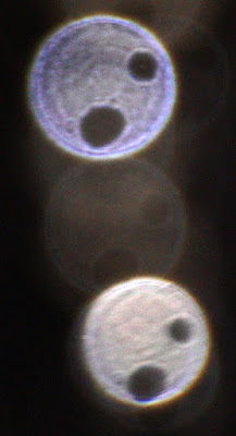 column of orbs with holes