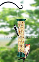 Peanut Bird Feeder