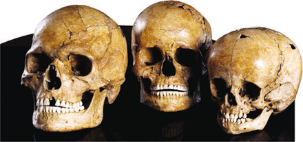Ancient DNA Says Europe's First Farmers Came From Afar