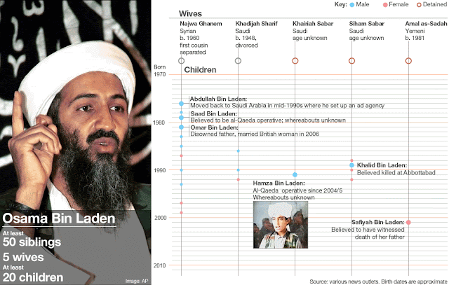 bin laden family tree. in laden family tree. in