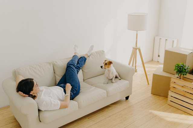 How To Facilitate A Dog's Adjustment In A New Home