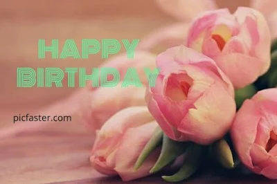 New Happy Birthday Flowers Images Free Download