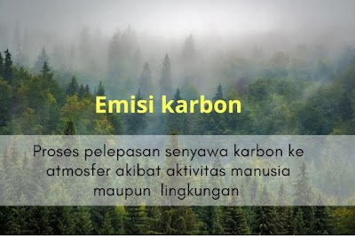 definisi emisi karbon