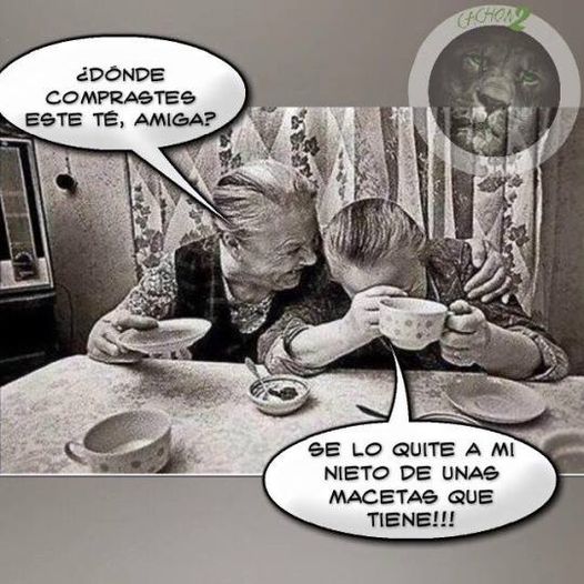 Humor-chistes-memes