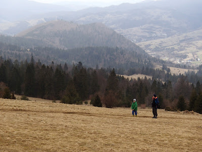 Szczawnica, szlaki turystyczne w Szczawnicy, schronisko pod Durbaszką, rezerwat Wysokie Skałki, Bukowinki, wąwóz Homole, grzyby wiosenne