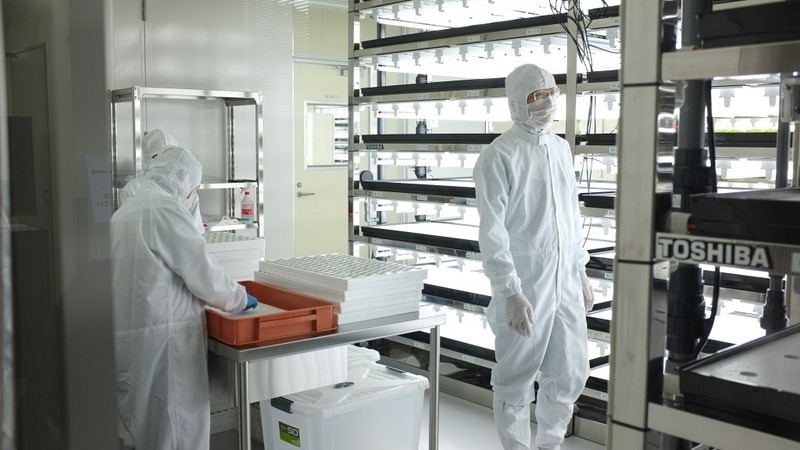 toshiba-germination-room-1