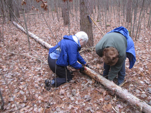 trail work