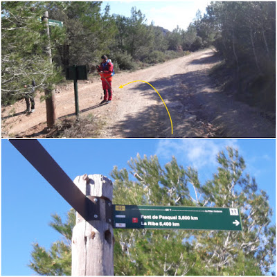 GR-7 MONT-RAL A LA RIBA, Camí d'Alcover al Coll de Gràcia