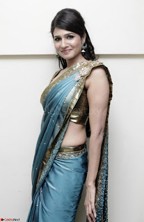 Bollywood Actress in Saree Spicy Pics 03.jpg