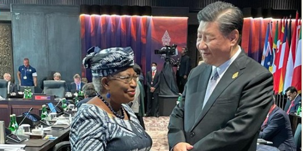 Photos: ngozi okonji iwuala meets chinese president