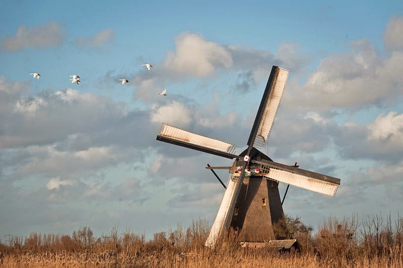 kinderdijk, kinderdijk netherlands, kinderdijk windmills, windmills in rotterdam, windmills of kinderdijk, windmills at kinderdijk, kinderdijk windmill, kinderdijk netherlands windmills, kinderdijk holland, rotterdam windmills,