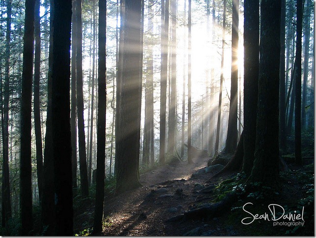 The Hike to Wallace