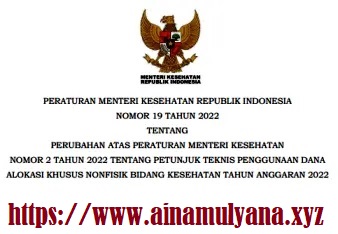 Permenkes PMK Nomor 19 Tahun 2022 Tentang Perubahan Juknis Penggunaan DAK Non fisik Bidang Kesehatan Tahun 2022