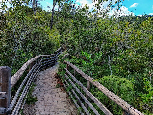 pontos turísticos de Arvorezinha, RS