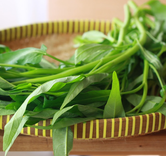 kangkung leaves