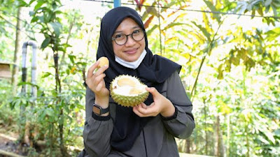  Wisata ke Surga Durian di Banyuwangi