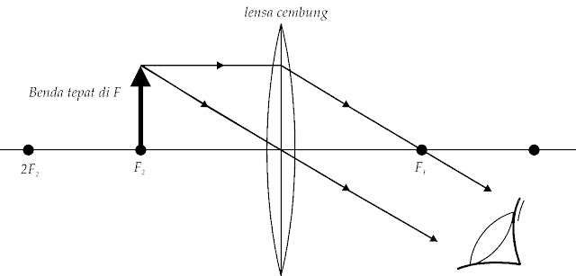 PRINSIP KERJA LUP SEBAGAI ALAT OPTIK