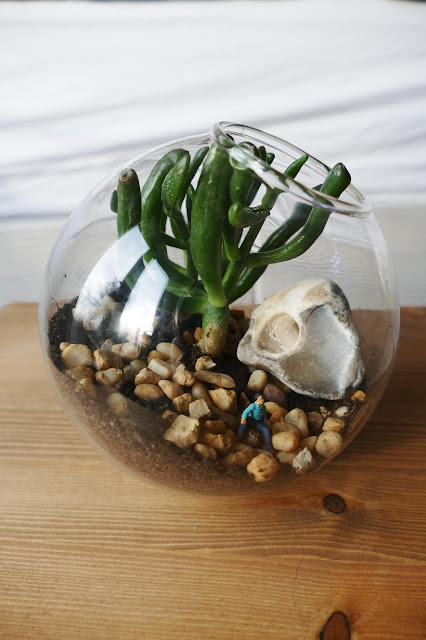 Terrarihome Review , Terrarihome Review  etsy, hanging terrarium review, Terrarihome etsy, hanging terrarium glass, terrarium mini decoration