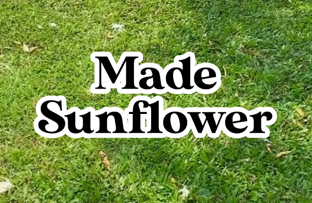 Buat Video Capcut Jadi Aesthetic Dengan 7 Font Keren Ini Made Sunflower