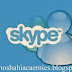 Skype 6.10.0.104