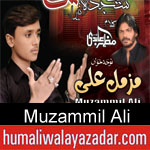 https://www.humaliwalyazadar.com/2018/09/muzammil-ali-noha-2019.html