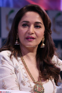 Madhuri Dixit Nene in designer Anarkali Dress at FICCI Awards 2017 024.JPG