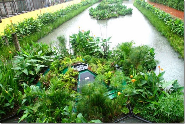 sistema-ecologico-recupera-rio-poluido