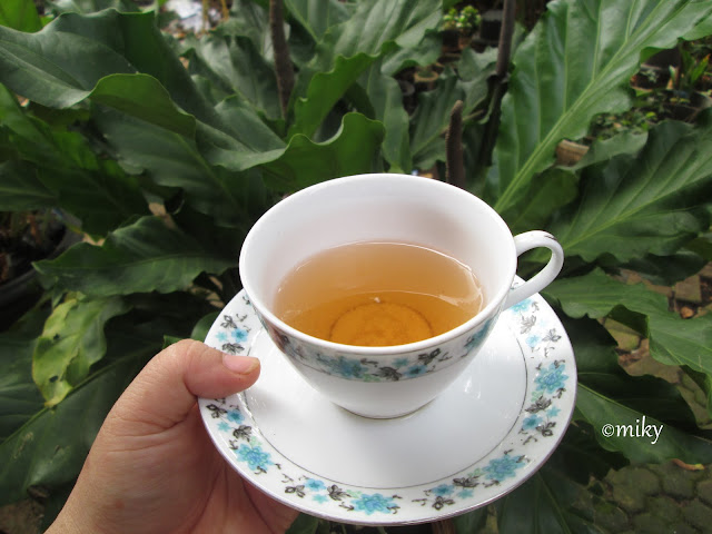 Barley Tea