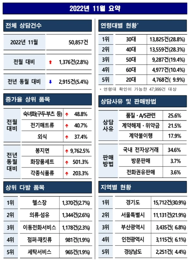 ▲ 2022년 11월 소비자상담 요약