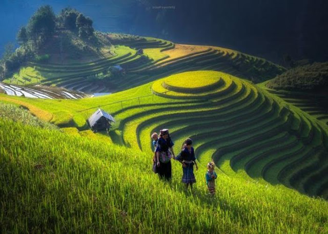 gambar mewarnai pemandangan alam yang indah