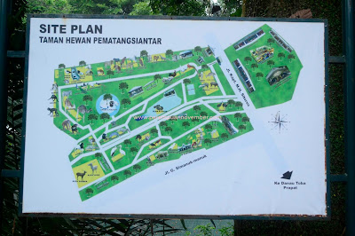 kebun binatang siantar