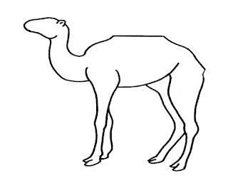 Camel Drawing for kids