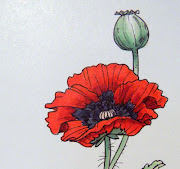 Justinklined Poppy Corner. Here is a detail. (justinklined poppy corner detail)