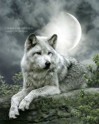 full moon wolf