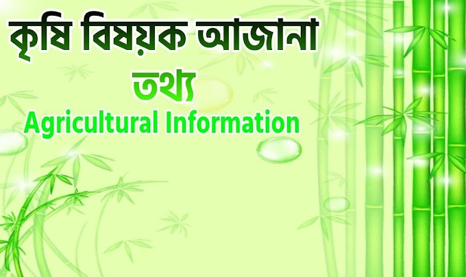কৃষি বিষয়ক তথ্য || Agricultural Information In Bengali