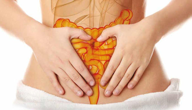 importance of gut health,how to improve gut health naturally,how to restore healthy gut flora,worst foods for gut health,gut health supplement,gut health diet,gut health test,gut, microbiome, gut health, probiotics, diet, digestion, constipation, science, natural cures, brain, ibs, leaky gut, gut flora, irritable bowel syndrome, gastroenterology, microbiota, microbes, bacteria, fiber, health, vitamin deficiencies, nutrition, gut microbiome, andrew foerster, shilpa ravella, ted ed, ted education, ted-ed, ted, celiac disease, fat soluble vitamins, viruses, lactic acid, deficiencies, vitamins, fungi, bloating, digestive system, inflammation, crohn's diease,gut health meaning,intestinal health,health,gut health,intestine,intestinal,intestinal cleanse,digestive health,lyme disease and intestinal health,heart health,healthy,large intestine (anatomical structure),intestinal healers,intestinal rehab,intestinal permeability,intestinal failure,intestinal bacteria,mental health,animal health,intestinal function,nutrition,natural health,intestinal rehabilitation,intestine healing,intestinal obstruction