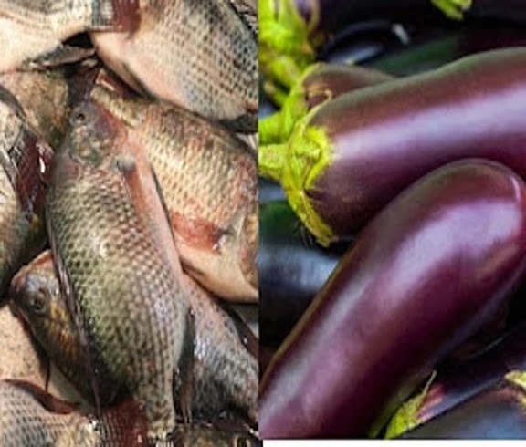 FISH WITH BRINJAL