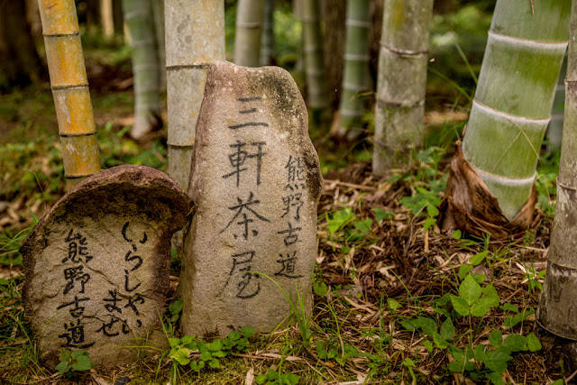 Detalles en el Kumano Kodo :: Canon EOS5D MkIII | ISO100 | Canon 24-105@60mm | f/4.5 | 1/30s