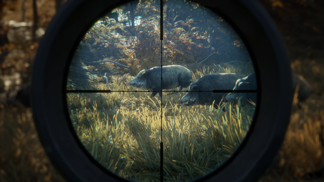 theHunter Call of the Wild | Computer Software computersoftwares-s.blogspot.in