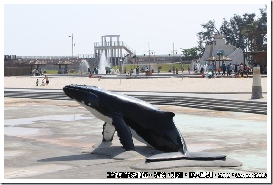 fish_dock_東石漁人碼頭16