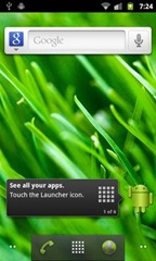 Google Nexus S i9020 layar