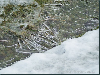 28-ice