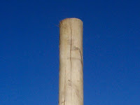 Bamboo Pole Sales