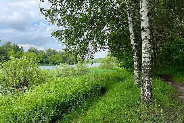 Тимирязевский парк, Большой Садовый пруд
