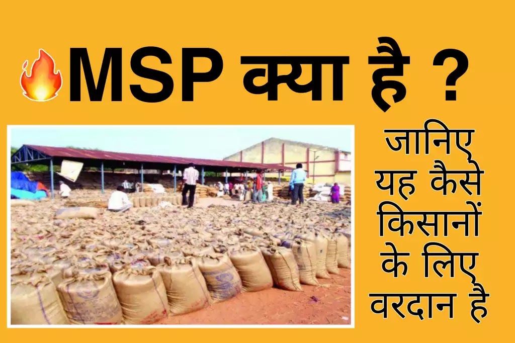 MSP क्या है ? Msp का पूरा नाम, msp कैसे तय होती है, msp के फायदे, msp तय करने का फॉर्मूला, msp की दिक्कत  msp kya hai ? msp ka poora naam, msp kaise tay hoti hai, msp ke fayade, msp tay karane ka fomula, msp ki dikkat