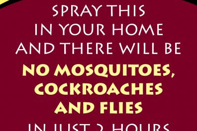 Spray This In Your Home and There Will Be No Mosquitoes, Cockroaches and Flies In Just 2 Hours