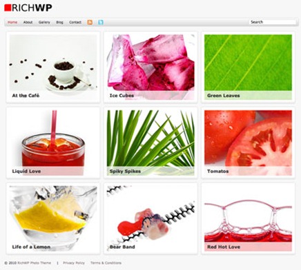 25 Themes Wordpress para Fotografos